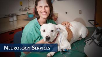Neurology Services
