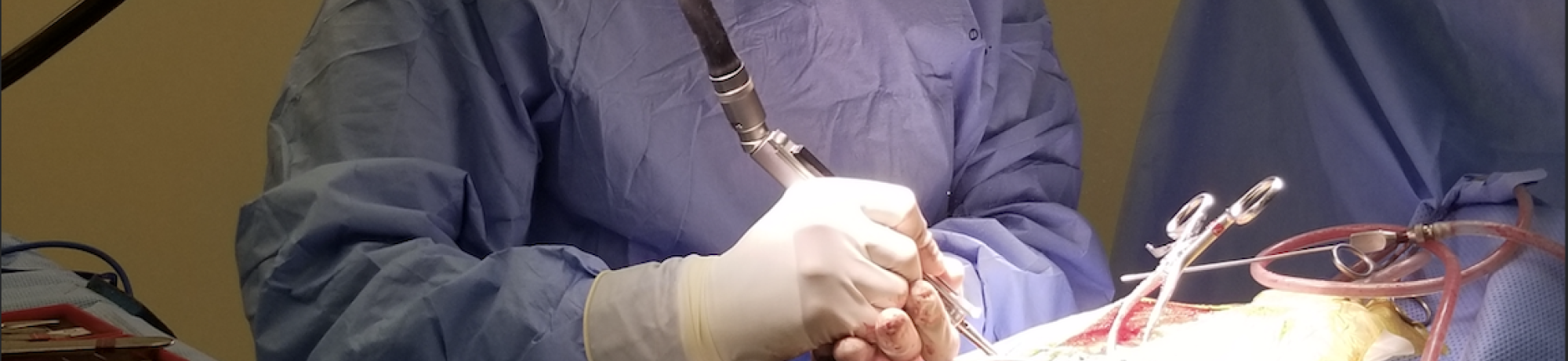 Neurosurgeon in blue scrubs and mask operating on a dog with a disc herniation